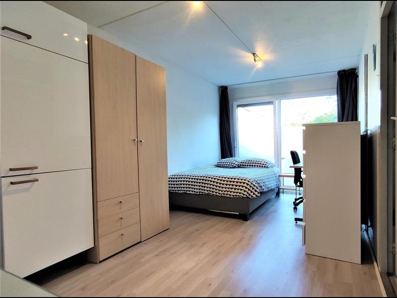 Studio - Paardebloem - 3068AG - Rotterdam