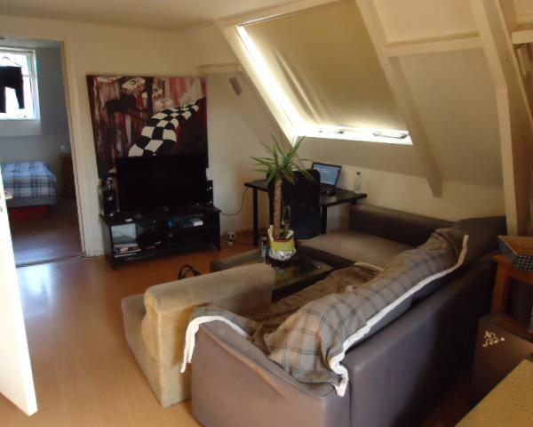 Appartement - Pasteurstraat - 2316BV - Leiden