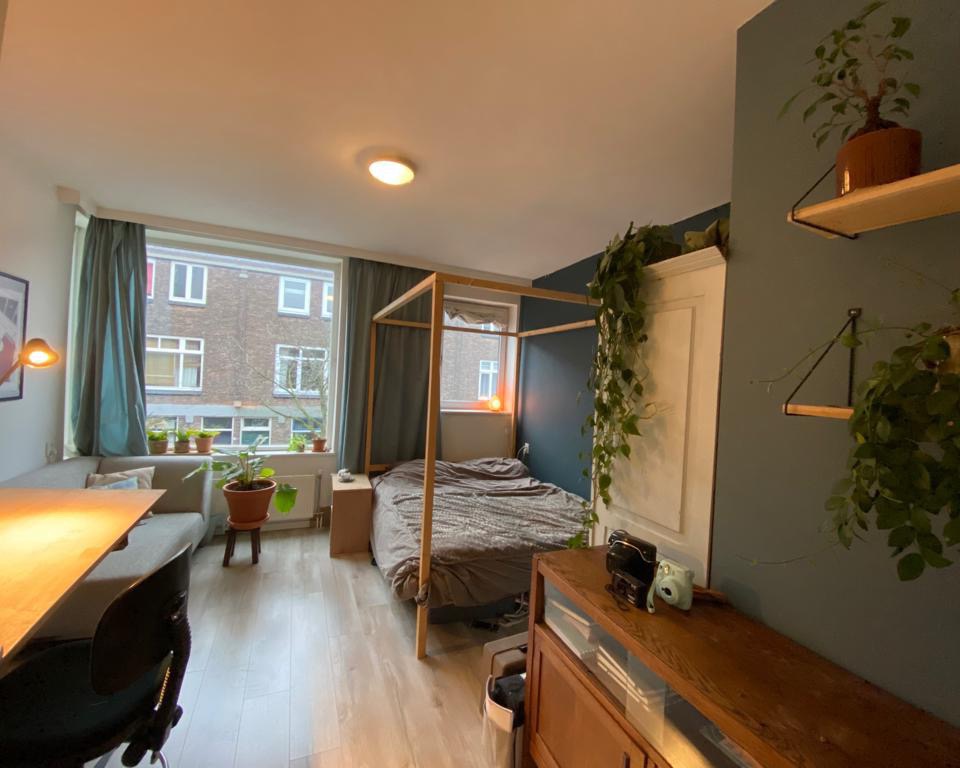 Kamer - Isaak Hoornbeekstraat - 2613HH - Delft