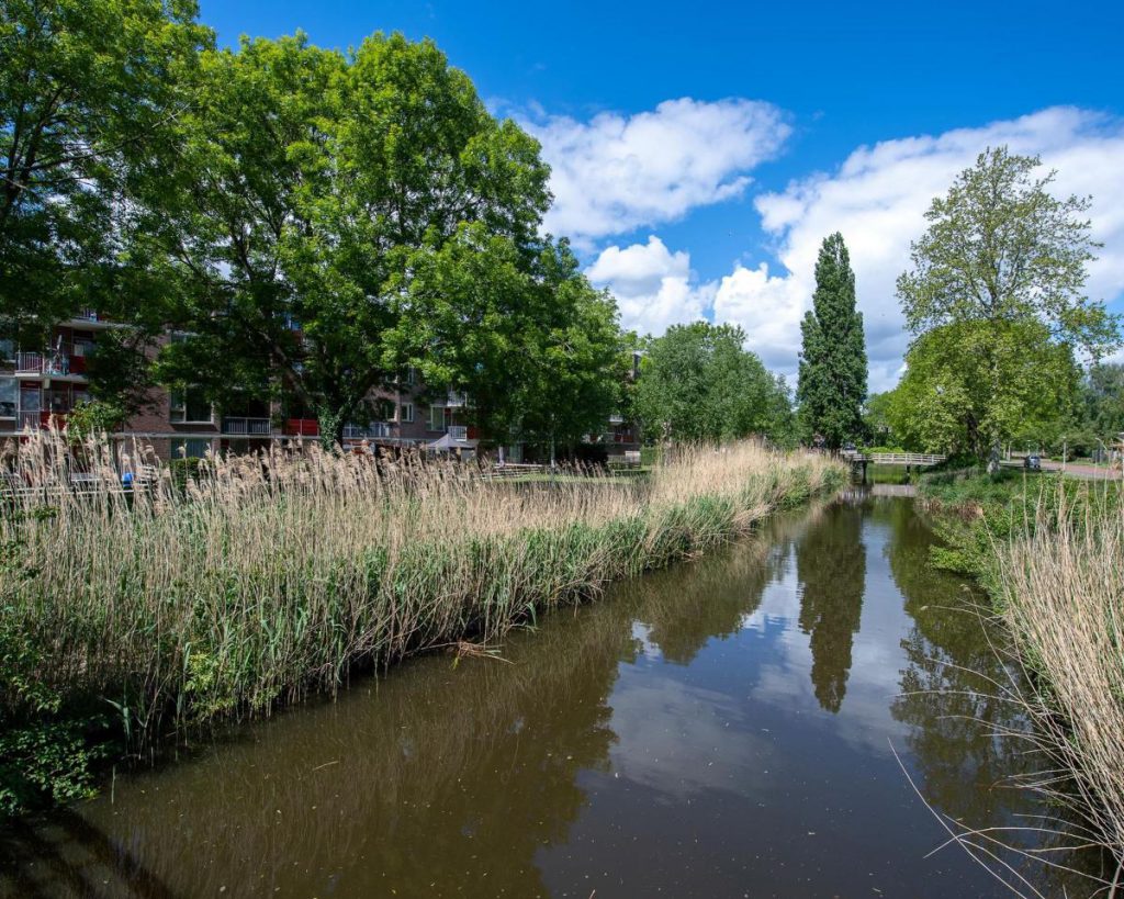 Appartement - Poederooienstraat - 1106CG - Amsterdam