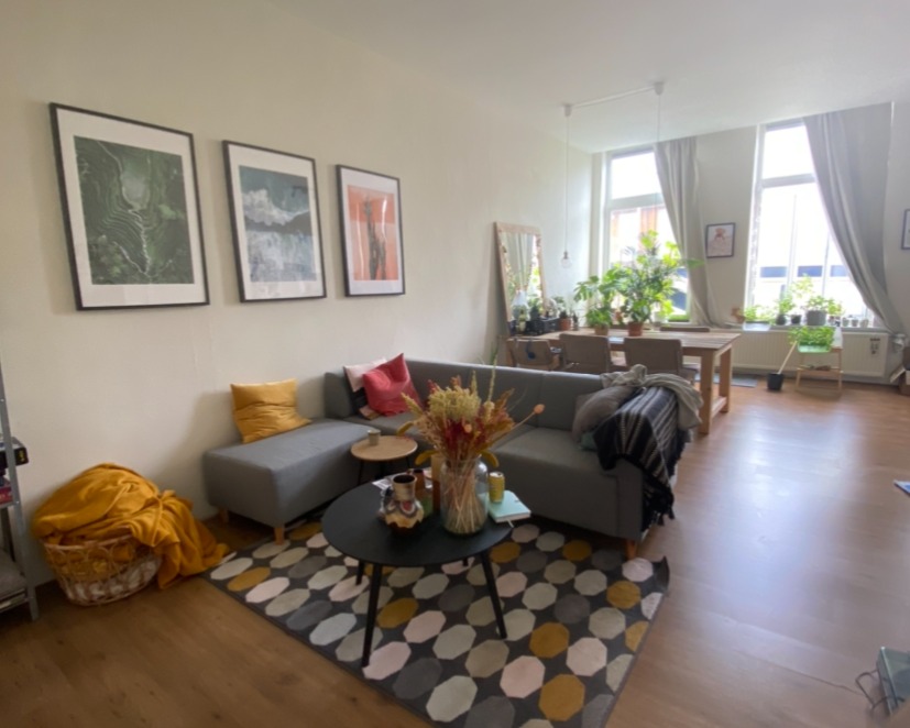 Appartement - Rabenhauptstraat - 9725CG - Groningen